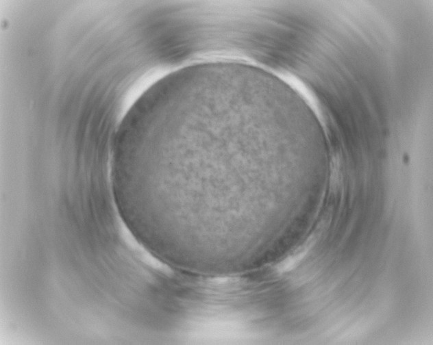 X0000088851390200706221649