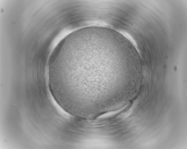 X0000088851391200706221649