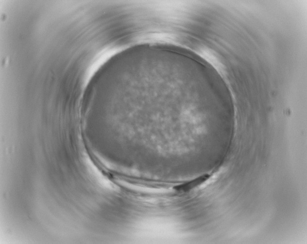 X0000088851392200706221649