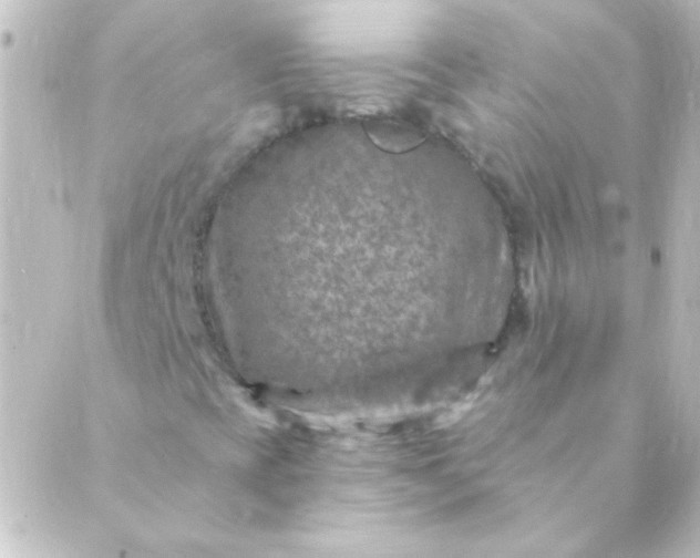 X0000088851393200706221648