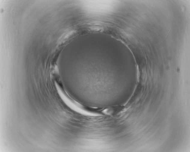 X0000088851394200706221648