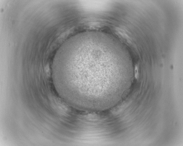 X0000088851395200706221648