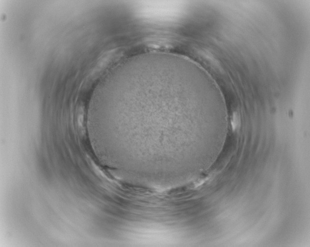 X0000088851396200706221648