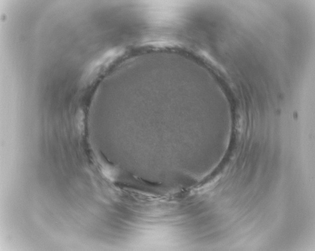 X0000088851398200706221648