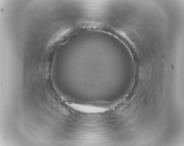 X0000088851399200706221648