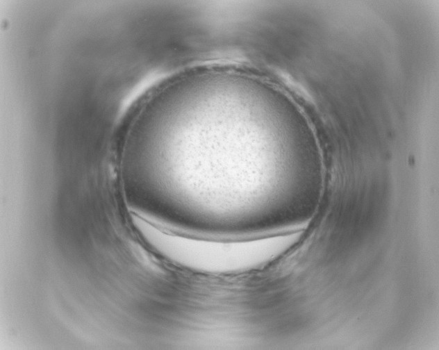 X0000088851400200706221648