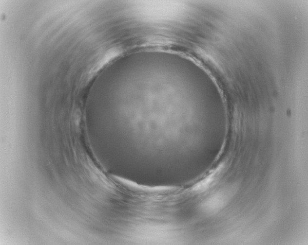 X0000088851401200706221648