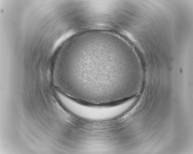 X0000088851402200706221649