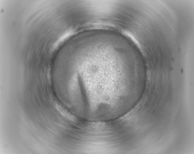 X0000088851403200706221649