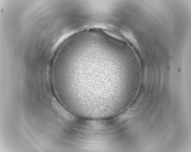 X0000088851404200706221649