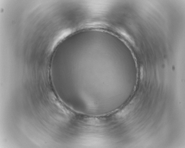 X0000088851405200706221649