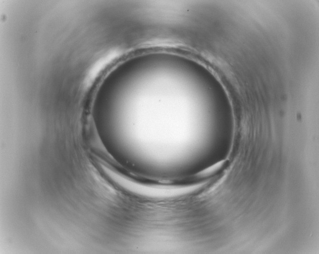 X0000088851406200706221649