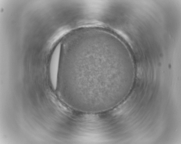 X0000088851407200706221649