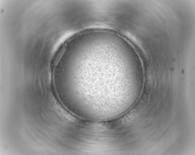 X0000088851408200706221649