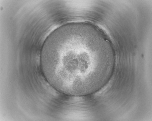 X0000088851409200706221649