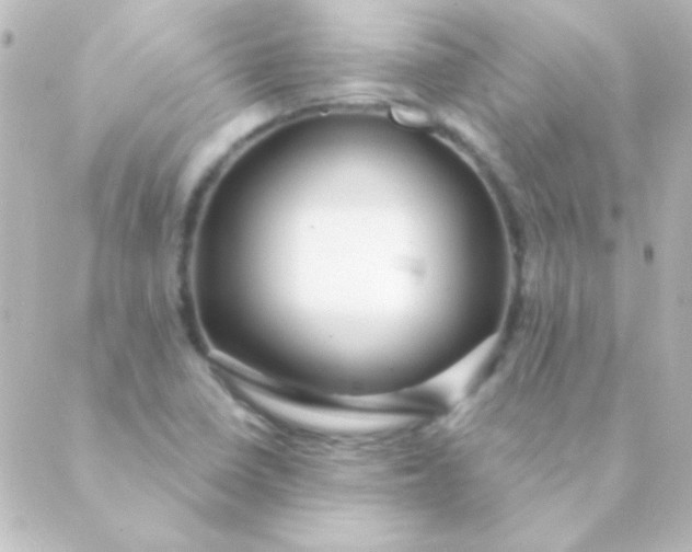 X0000088851410200706221649