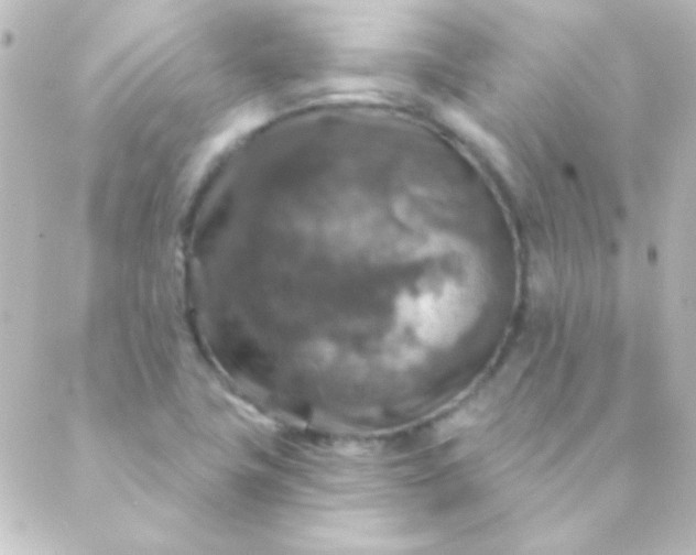 X0000088851411200706221649