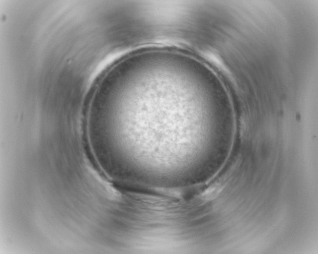 X0000088851412200706221649