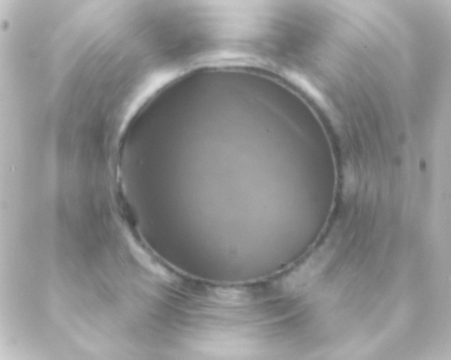 X0000088851413200706221649