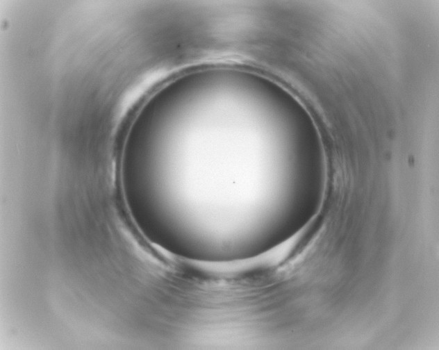 X0000088851414200706221649