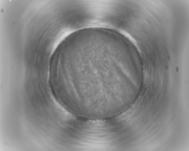 X0000088851415200706221649