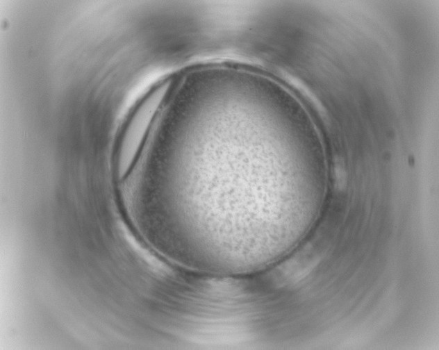 X0000088851416200706221649