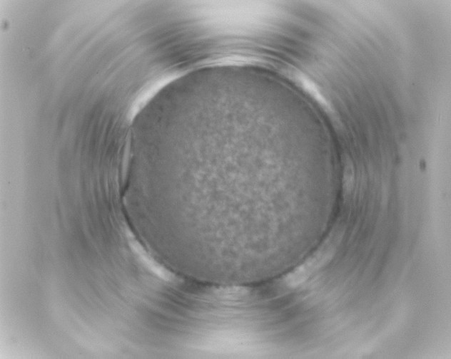 X0000088851417200706221649