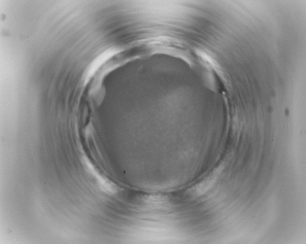 X0000088851418200706221649