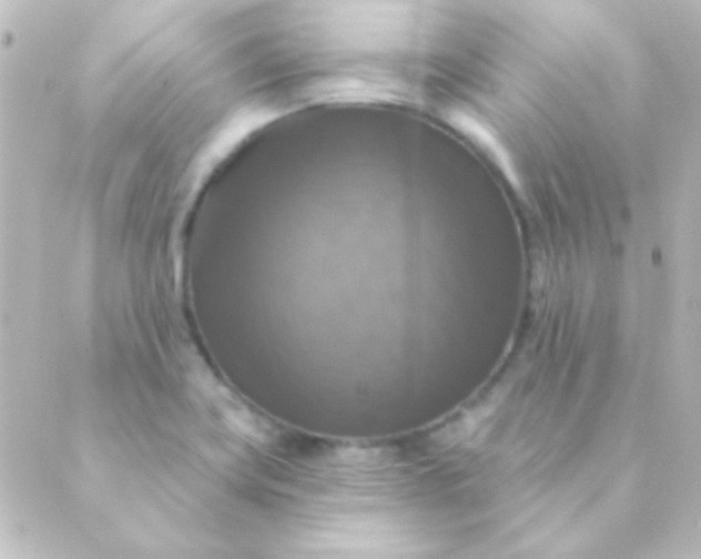 X0000088851419200706221649