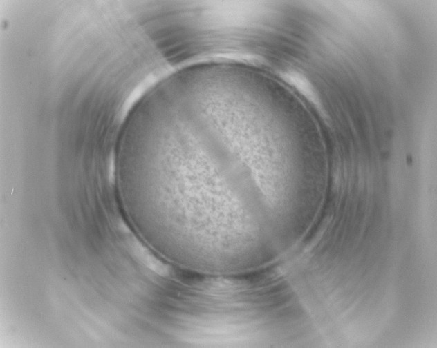 X0000088851420200706221649