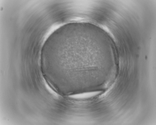 X0000088851421200706221649