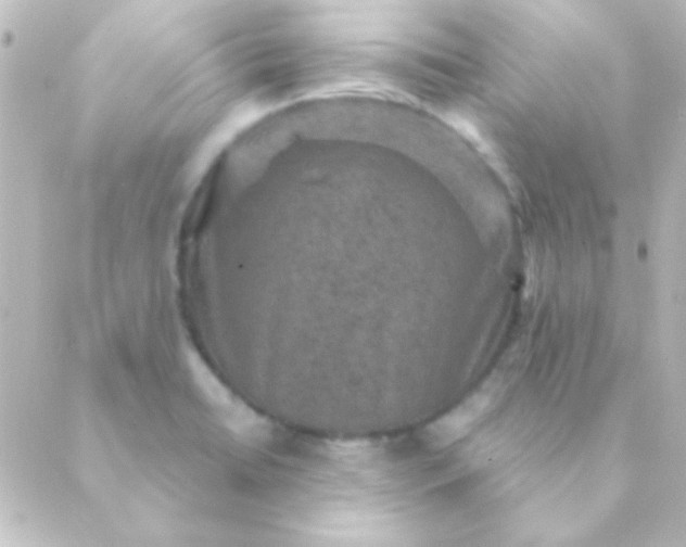 X0000088851422200706221649