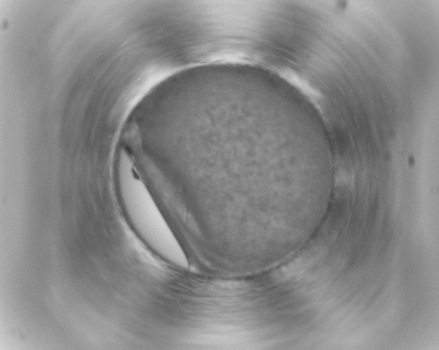 X0000088851423200706221649