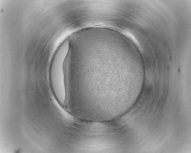 X0000088851424200706221649