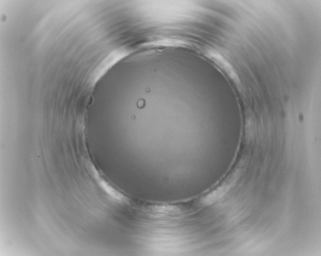 X0000088851425200706221649