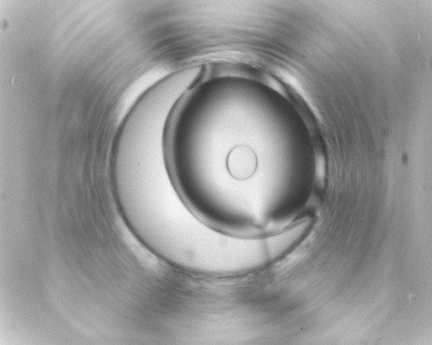 X0000088851426200706221649