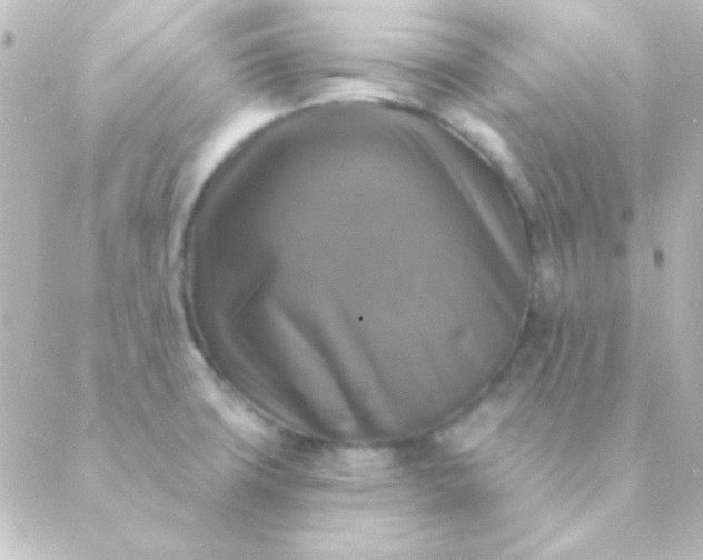 X0000088851427200706221649