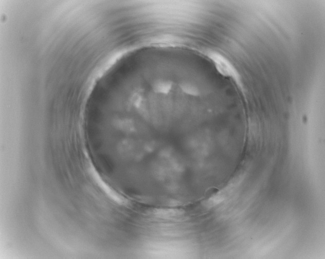 X0000088851429200706221649