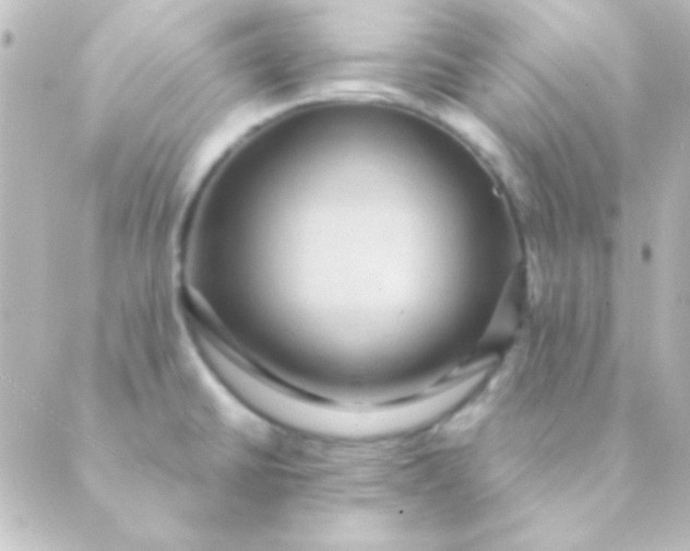 X0000088851430200706221649