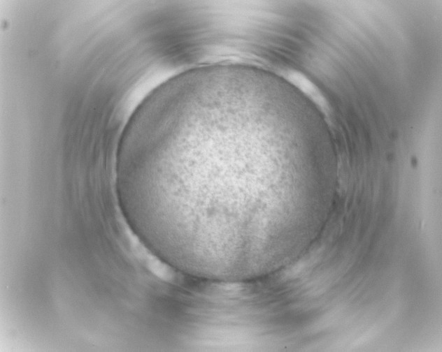 X0000088851431200706221649