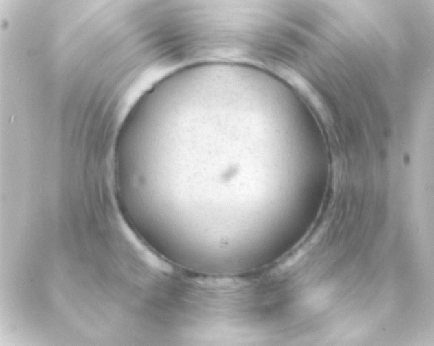 X0000088851432200706221649