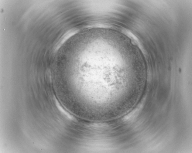 X0000088851433200706221649