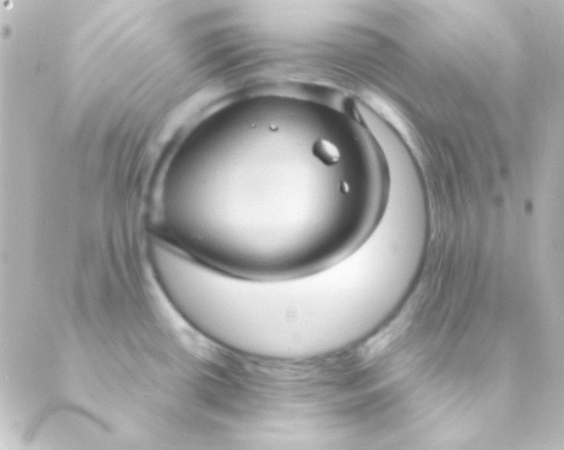 X0000088851434200706221649