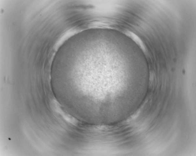 X0000088851435200706221649