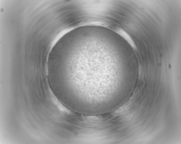 X0000088851436200706221649