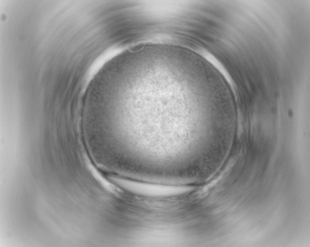 X0000088851437200706221649