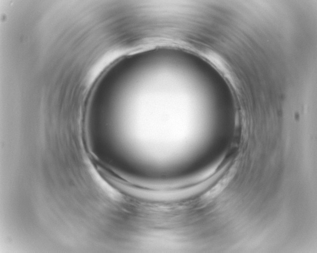 X0000088851438200706221649