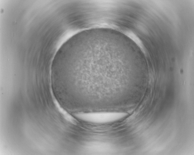 X0000088851439200706221649