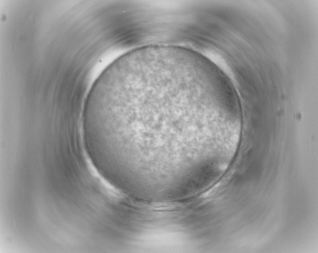 X0000088851440200706221649