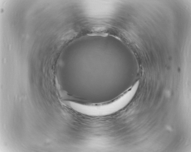 X0000088851441200706221648